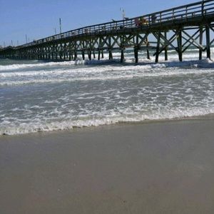 Meet your Posher, Savannah